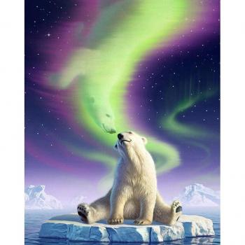 Frozen Bear 20x30cm Diamond Painting