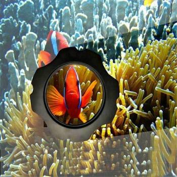 Dual Function Fish Tank Magnifier and Clean‑Scraper Set