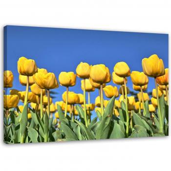 Impression Artistique Tulipes Jaunes 60x40