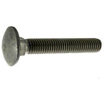 Vis ronde collée carrée 6 x 30 mm