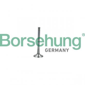 Soupape d'émission Borsehung B19011 – “Salida Eficiente B1941”