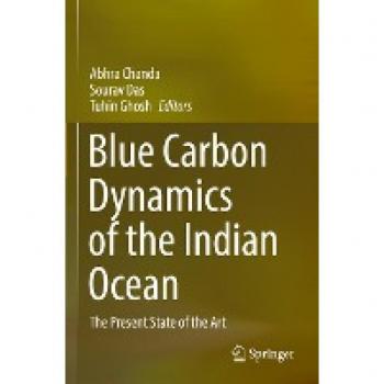 Blue Carbon Dynamics of the Indian Ocean