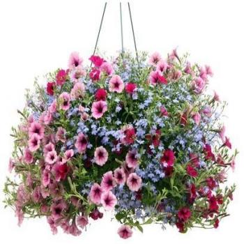 30 cm Black Woven Basket – Verdemax 5101