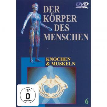 Der Körper des Menschen 6