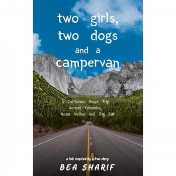 Two Girls Two Dogs and a Campervan