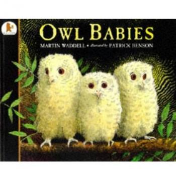 Owl Babies