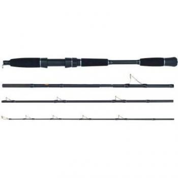 WFT Seadart Spezialrute 2,10m Wurfgewicht 40-300g