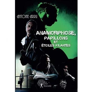 Anamorphose, papillons et étoiles filantes