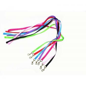 Durable Nylon Training Leash with Integrated Dog Collar and Harness