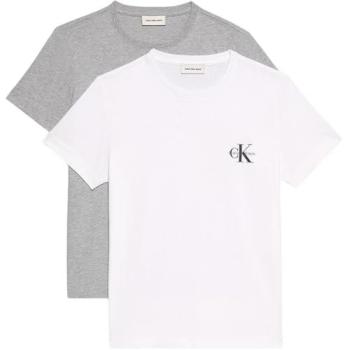 Calvin Klein Jeans T-Shirt-Set LV047C905G Bunt Regular Fit