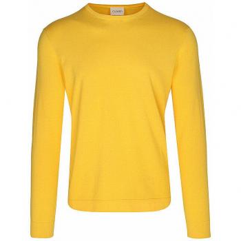 Gelber Herren-Pullover mit Schließung, XL (C86111‑91Q‑13)