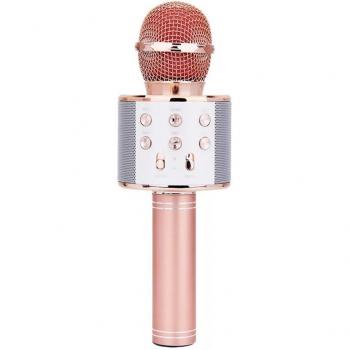Handheld Music Player Microphone