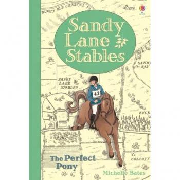Michelle Bates Sandy Lane Stables: The Perfect Pony (Young Reading)