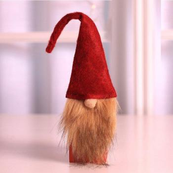 Décoration de bouteille de vin pour le Nouvel An