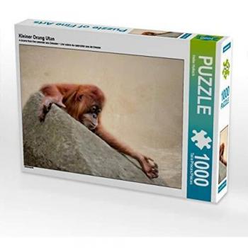 CALVENDO Puzzle Kleiner Orang Utan 1000 Teile Bild von Heike Hultsch
