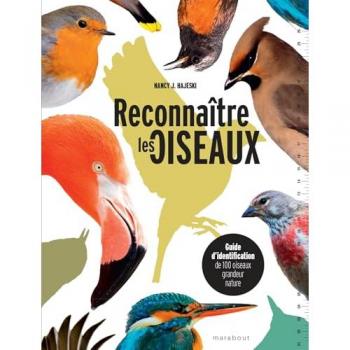 Reconnaître les oiseaux: Guide d identification de 100 oiseaux grandeur nature