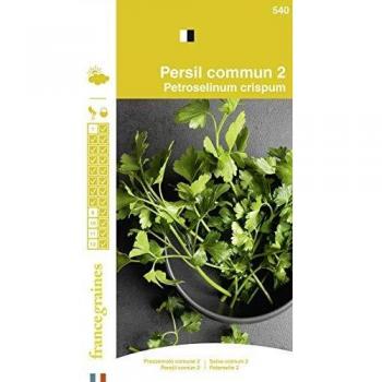 Semences de Persil Commun 2