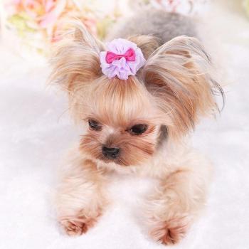 Organza Bubble Hairpin for Dogs