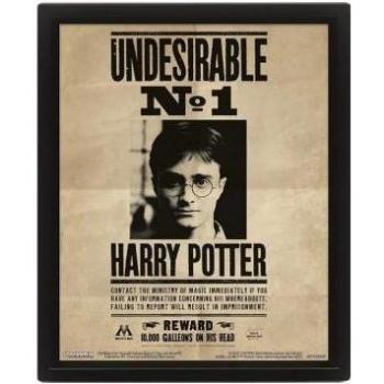 Stampa su tela con cornice 3D Harry Potter 3.9cm