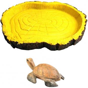 Bol Décoratif pour Reptiles