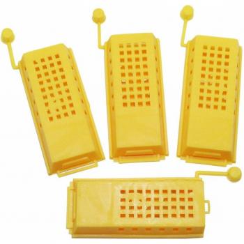 Apicraft Queen Keeper Cages – 60 Count