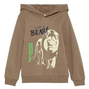 S.Oliver Regular Fit Kapuzen-Sweatshirt mit Nachtleuchteffekt