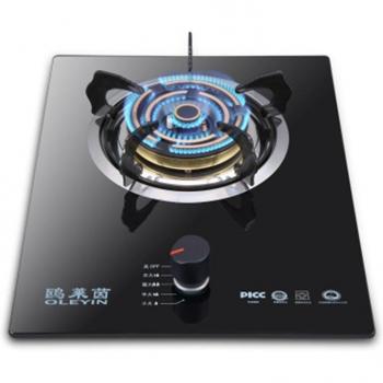 Embedded Gas Stove