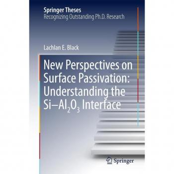 New Perspectives on Surface Passivation: Understanding the Si-Al2O3 Interface