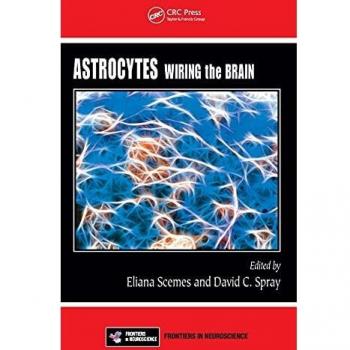 Astrocytes: Wiring the Brain
