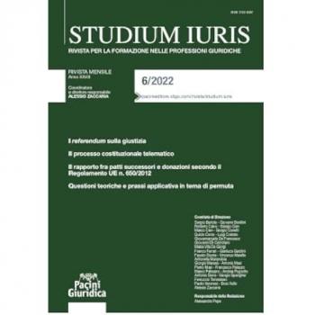 Studium iuris. Rivista per la formazione nelle professioni giuridiche (2022). Vol. 6