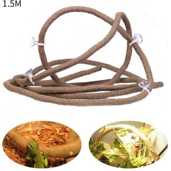 Reptile Box bosque Tropical