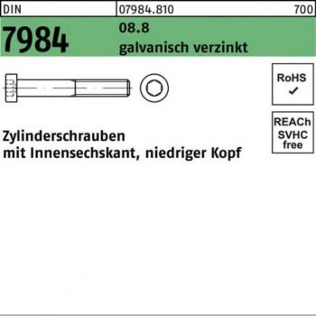 Reyher Sechskantschraube M10 × 40 mm – DIN 7984, Innen-6kt, Stahl 8.8, Galvanisierung