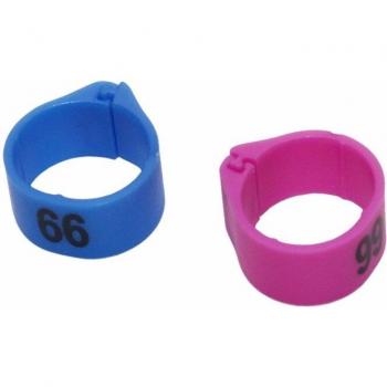 Bird Training Foot Rings