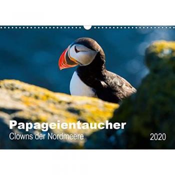 PAPAGEIENTAUCHER
