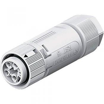 Wieland RST Mini Rundstecker Kupplung 3+PE