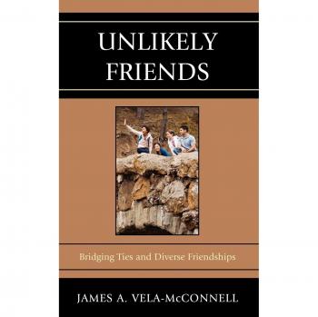 Unlikely Friends: Bridging Ties and Diverse Friendships