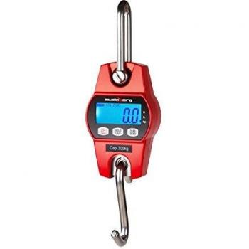 Bilancia OX Dinamometro 300 kg con Gancio Industriale