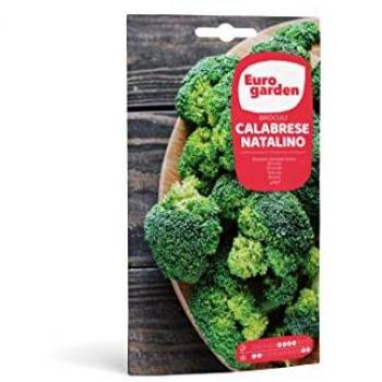 Fito Brócoli Calabrés Natalino – Semilla 3g 9993