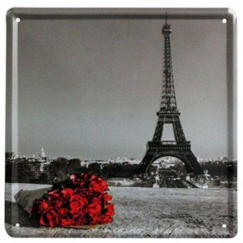 Quadro Metallo Red Paris Vintage Eve048