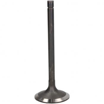 FRECCIA Einlassventil R4232/SNT