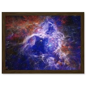 NASA James Webb 30 Doradus: Eternal Stellar Life Art