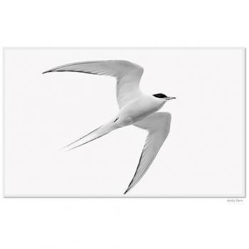 UK‑Spitsbergen Foto‑Puzzle 1000 Teil – Ingo Gerlach Edition