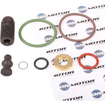 Dr. Motor Injector Pump Repair Kit DRM006L