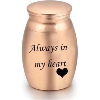Pet Memorial Stainless Steel Urn for Ashes