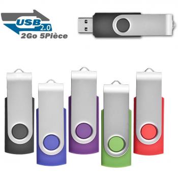 Clé USB 2 Go Couleur Mixte