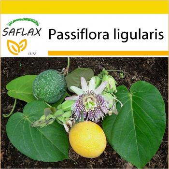 Granadilla Sweet Seeds Collection – Safflax Edition
