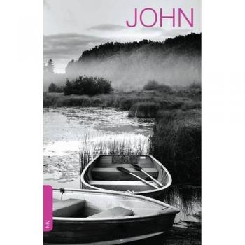 John's Gospel: NIV