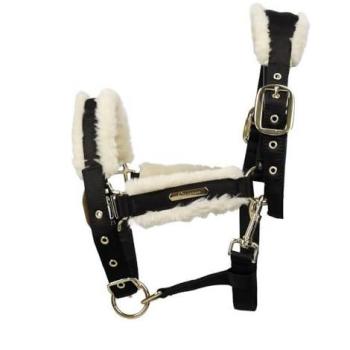 Coldstream Langlee Signature Head Collar – Black Leather with Copper Detail