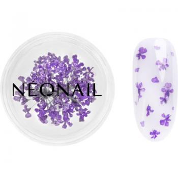 Fiori Secchi per Unghie NEONAIL Colore 06 Viola 1 Pz