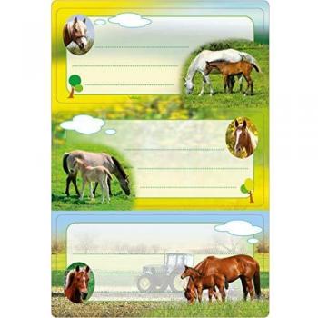 Herma 5568 Horse Farm Classroom Labels, Adhesive, Children’s Use